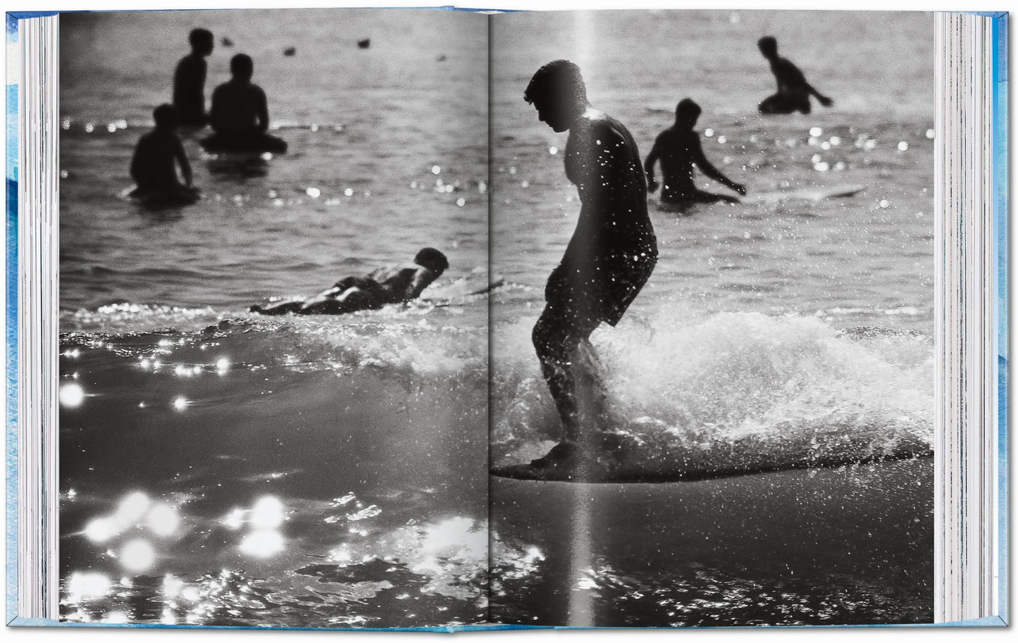 SURFING (XL)