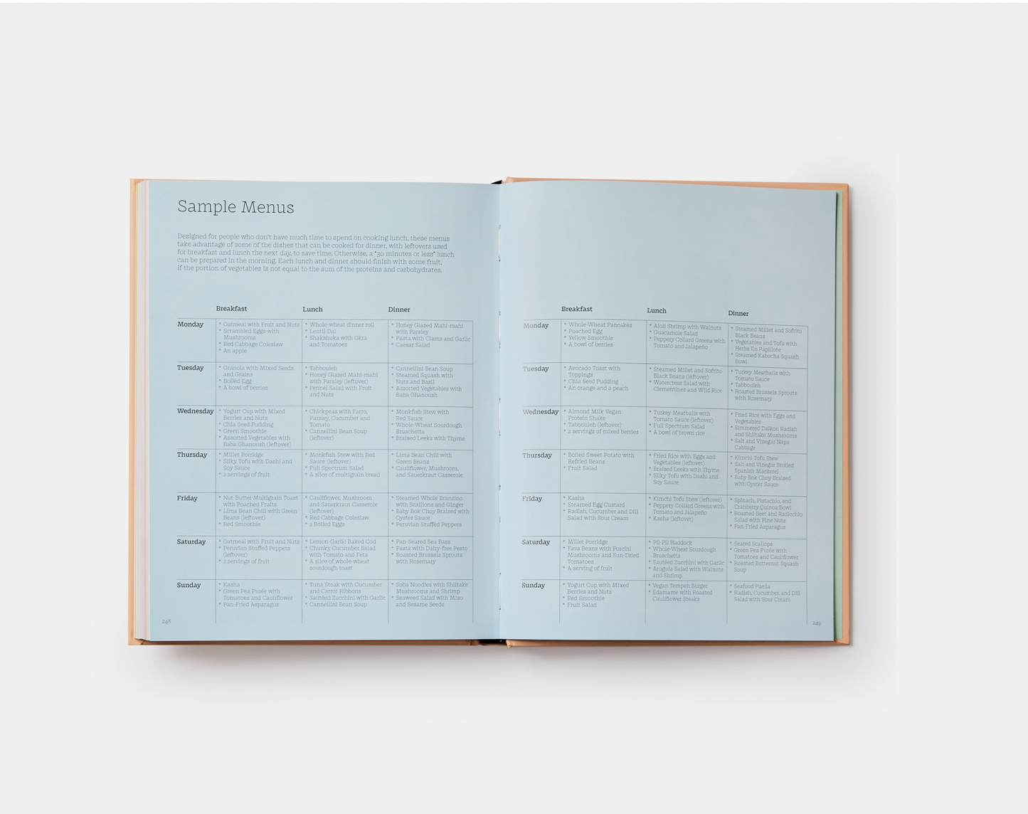 THE WELLNESS PRINCIPLE