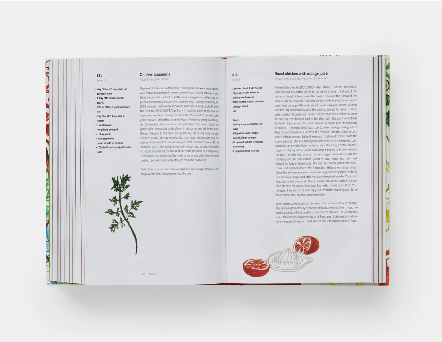 SPAIN: THE COOKBOOK