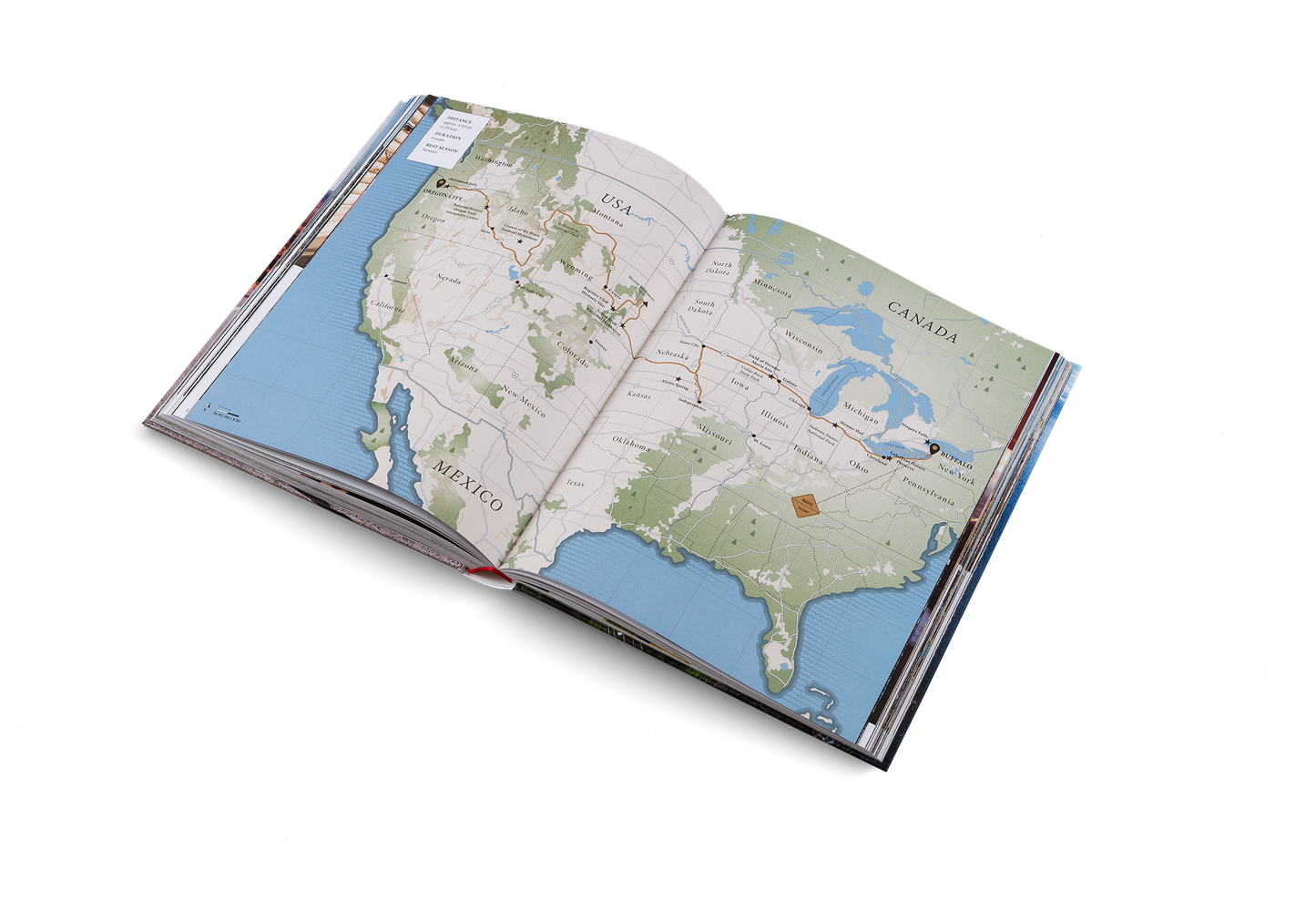 THE GREAT AMERICAN ROAD TRIP