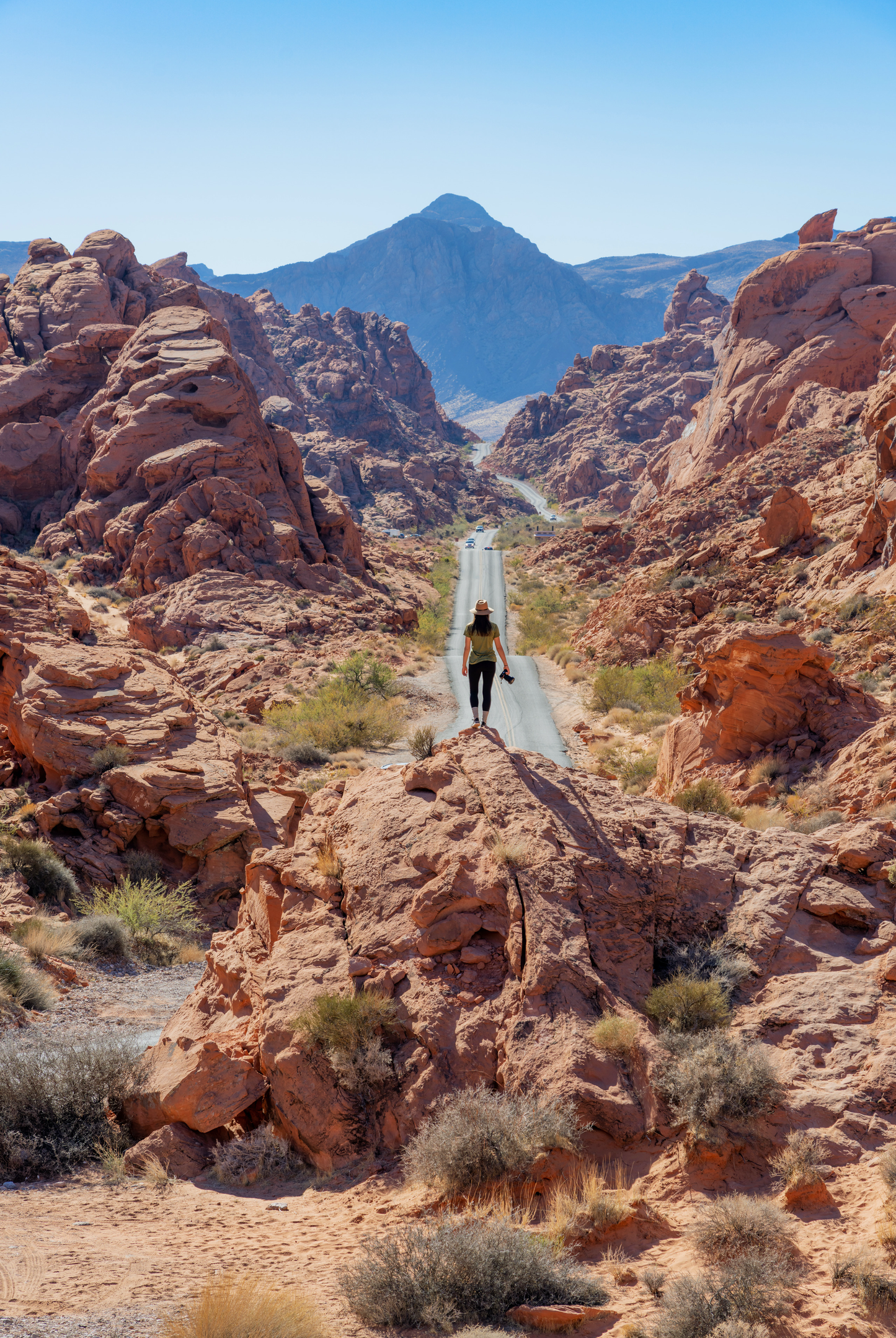 THE GREAT AMERICAN ROAD TRIP