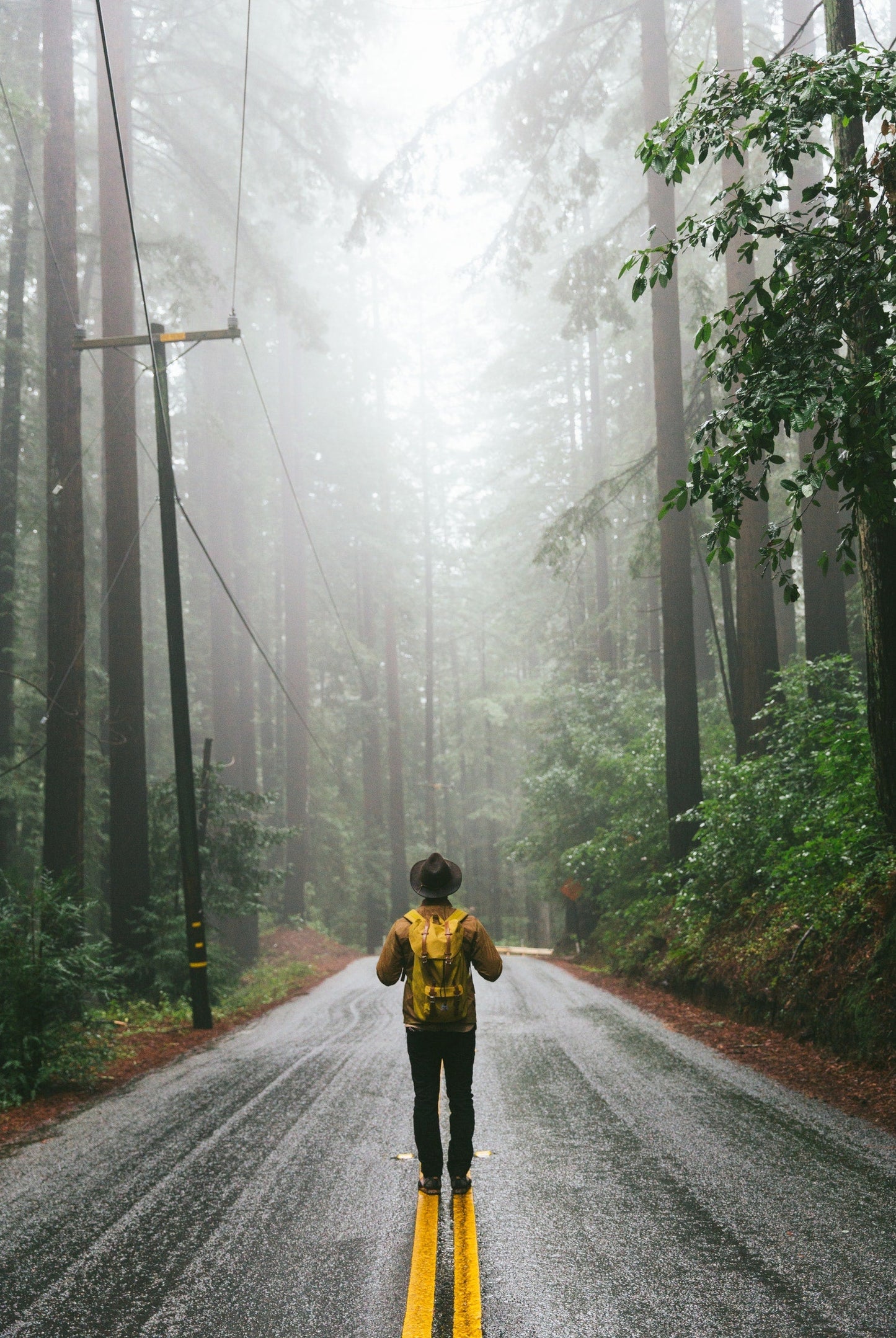 THE GREAT AMERICAN ROAD TRIP