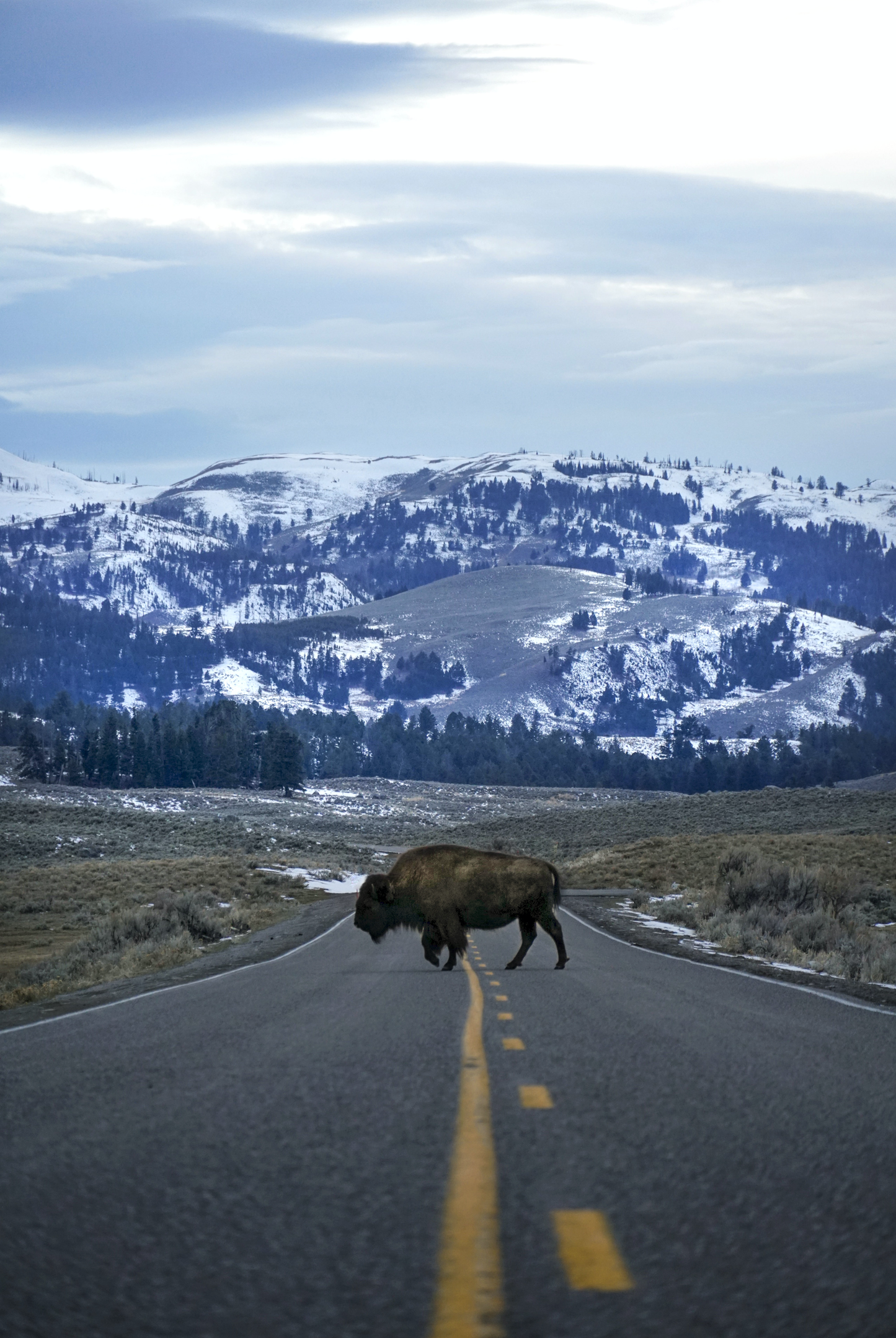 THE GREAT AMERICAN ROAD TRIP