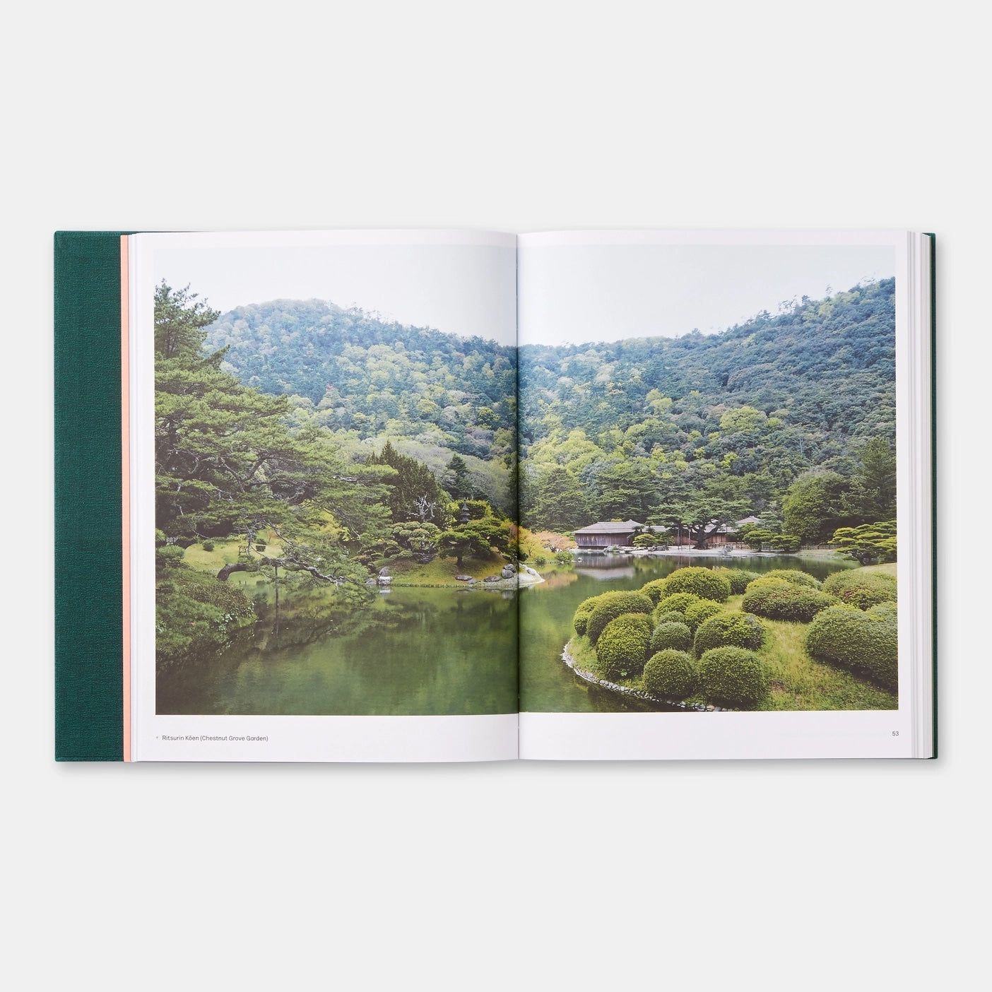 THE JAPANESE GARDEN