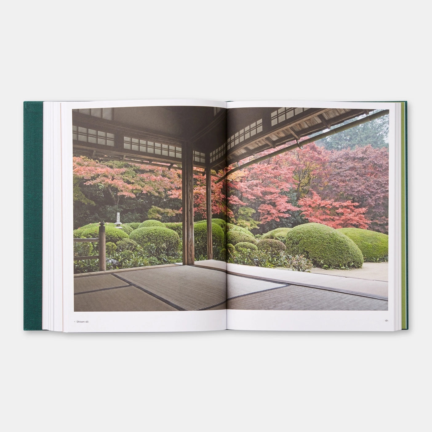 THE JAPANESE GARDEN