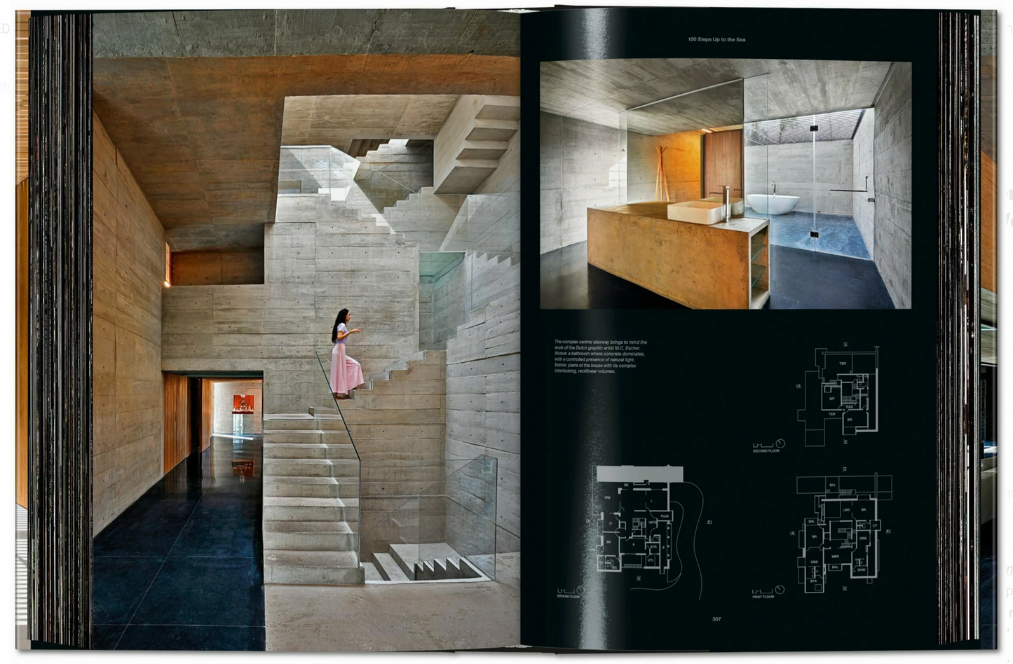 HOMES FOR OUR TIME 2: CONTEMPORARY HOUSES