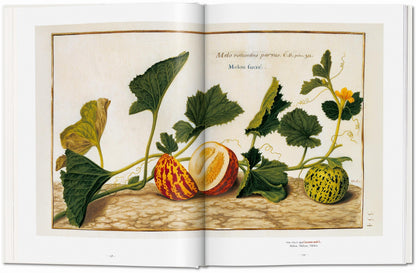 A GARDEN EDEN