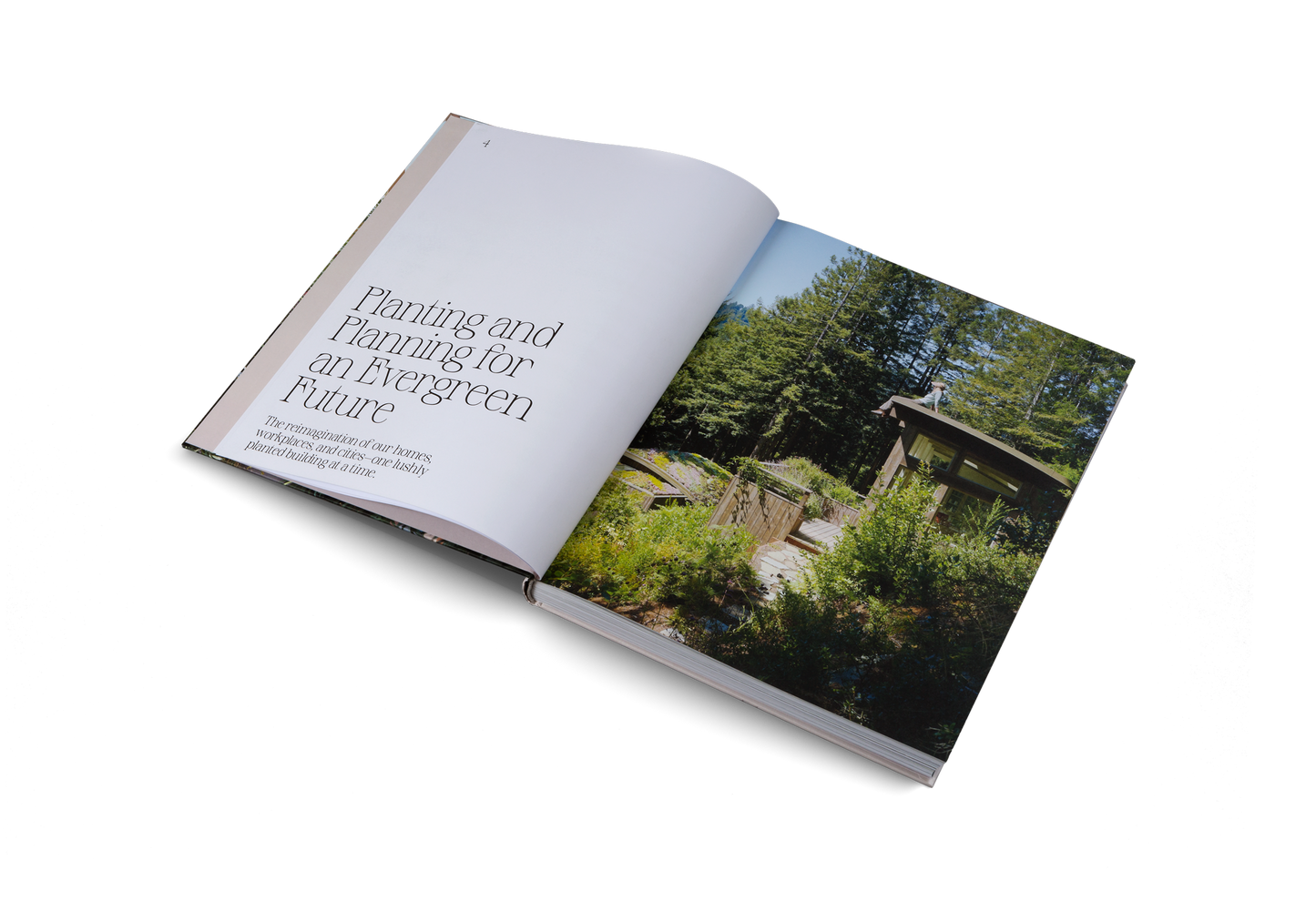 EVERGREEN ARCHITECTURE