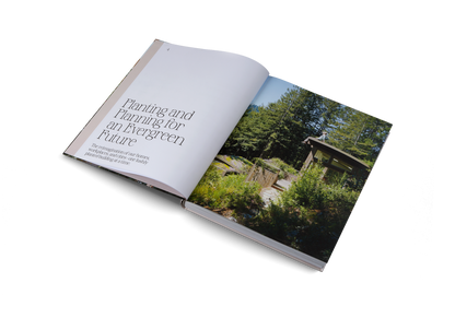 EVERGREEN ARCHITECTURE