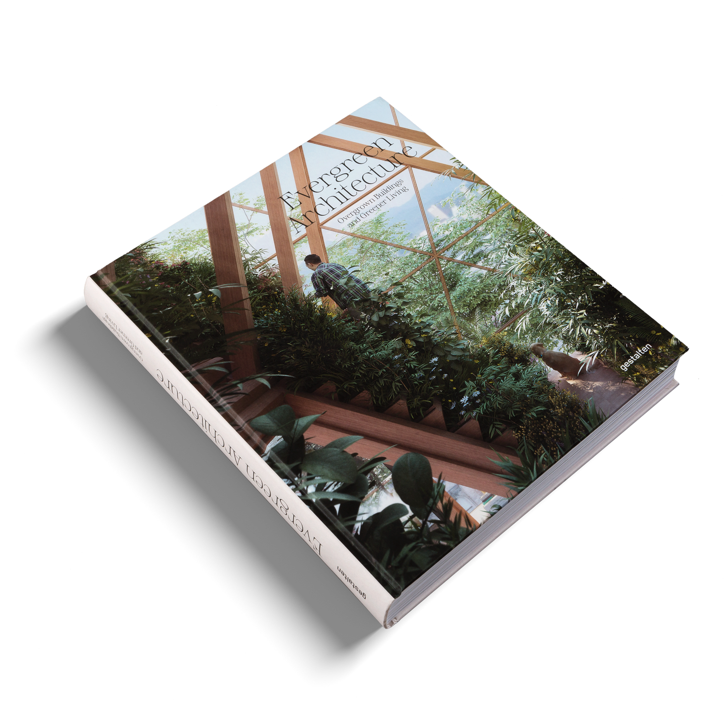 EVERGREEN ARCHITECTURE